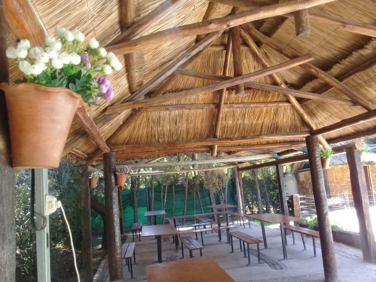 Villa Cabanas Alto Bermejo Mendoza Exterior foto